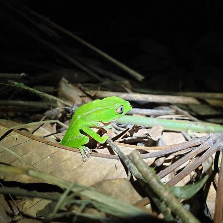 Вилла Reserva Natural Tucuchira Санта-София Экстерьер фото