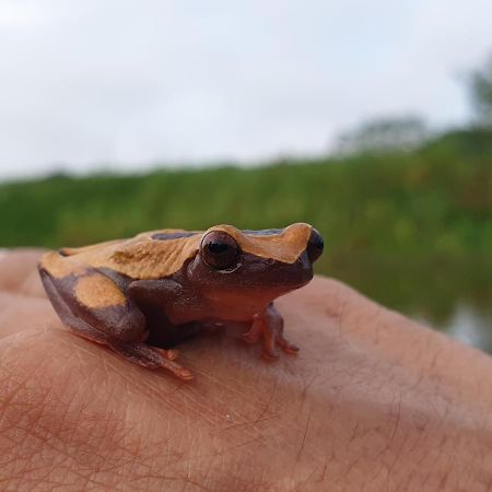 Вилла Reserva Natural Tucuchira Санта-София Экстерьер фото